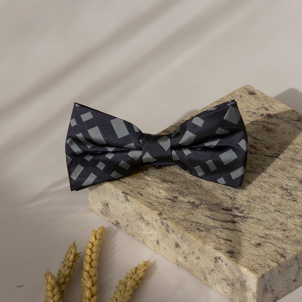 不規則藍格紋領結-在看清楚一點，我不是你常見的藍色格紋領結